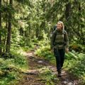 Skovbadning: Guide til shinrin-yoku og natur-wellness